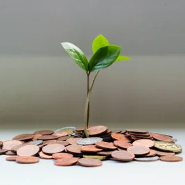What Automated Investing Actually Automates: The 5 Layers