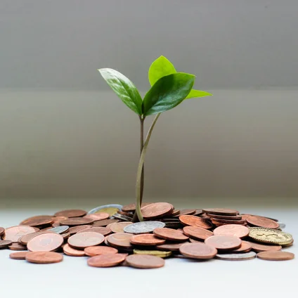 What Automated Investing Actually Automates: The 5 Layers