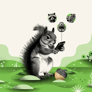 A guide to inviting your friends to Acorns 