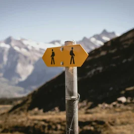 Acorns vs. Alinea: How the Two Investing Apps Compare