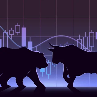 Bear vs. Bull Market