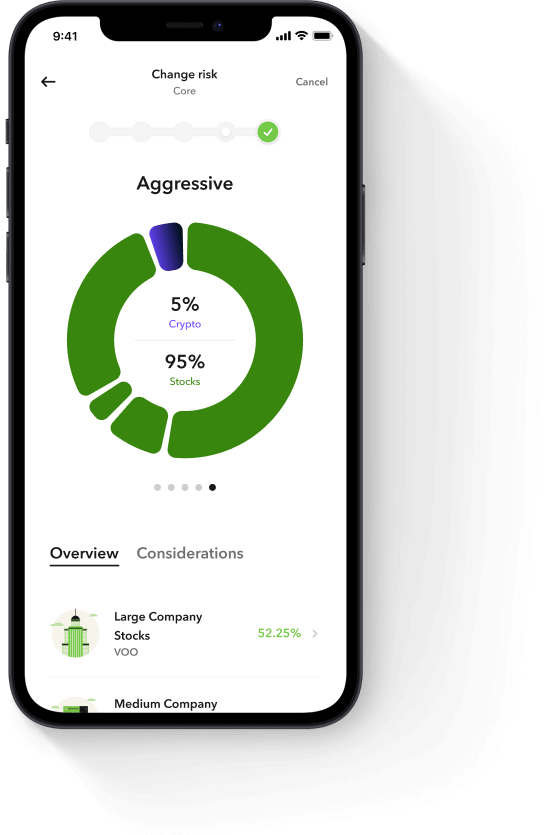Aggressive Portfolio Breakdown