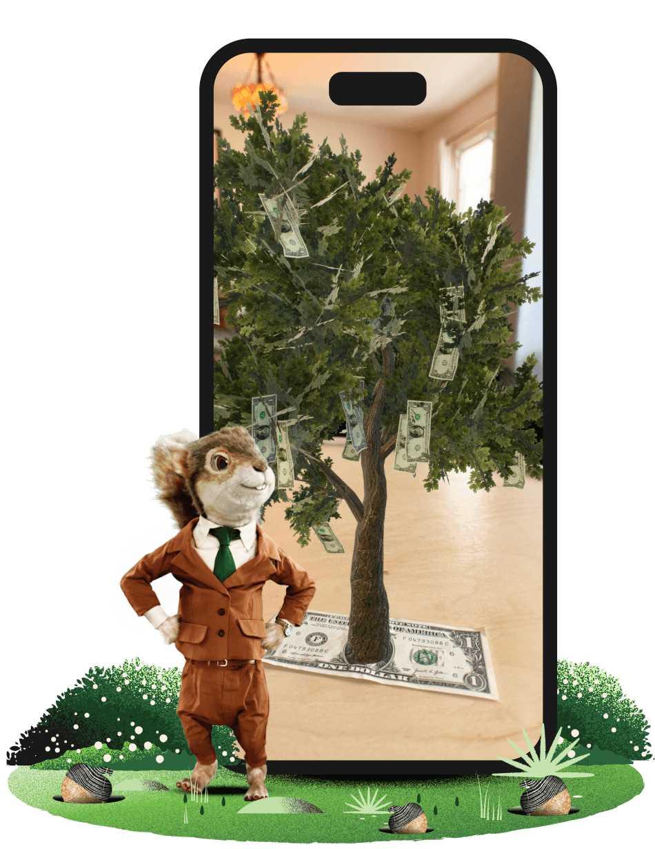 Images of the Acorns Application