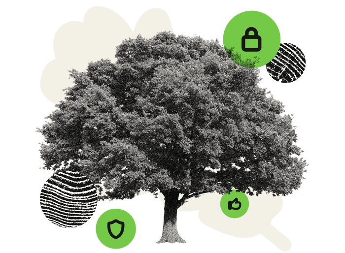 Security for your checking account that’s strong as oak