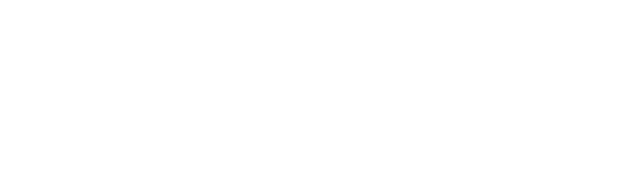 “Innovation Agents” & “Impact Council” member