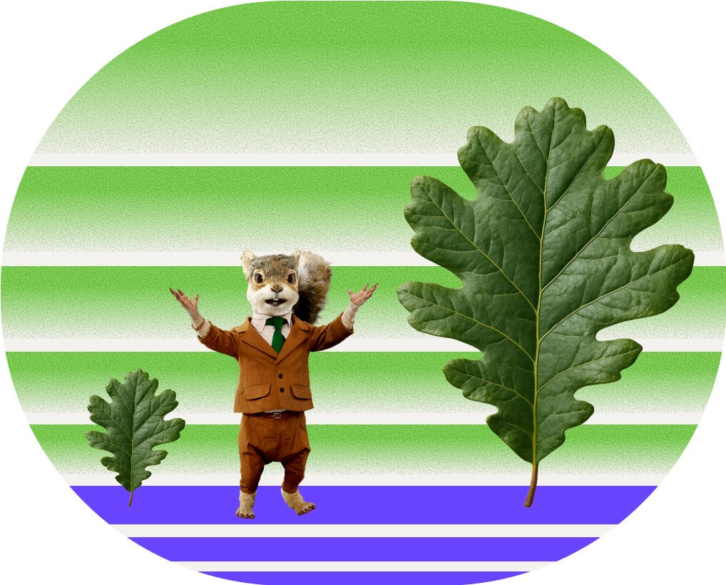 Money tools for every stage of life