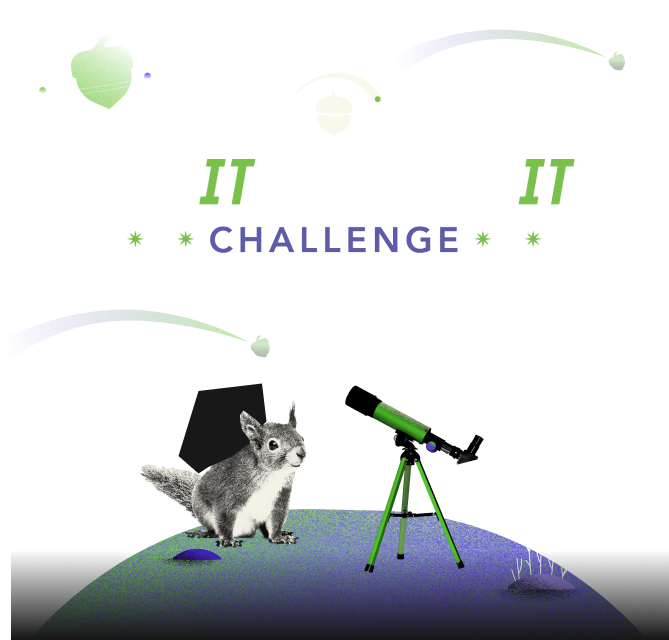 Image of Set it & Invest It Challenge