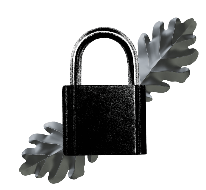 Security as strong as oak