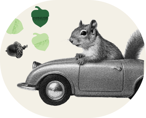 Squirrel in a car