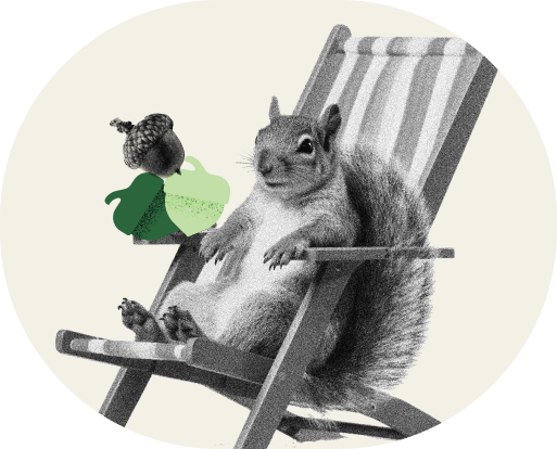 Squirrel in a chair