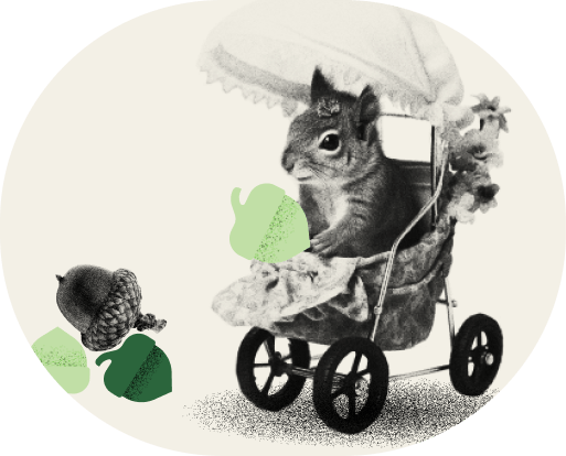 Squirrel in a stroller