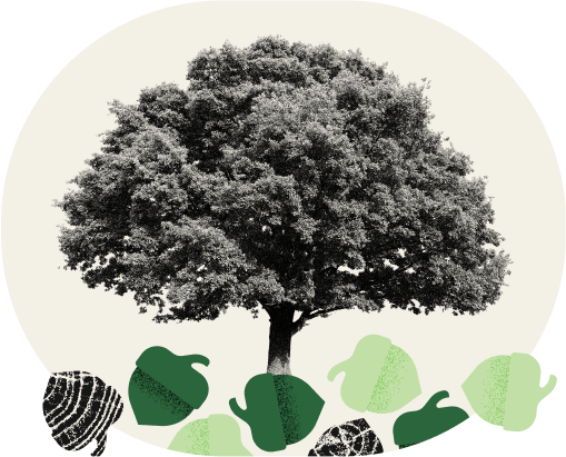 Tiny can turn mighty with time