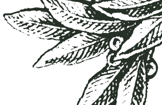 Icon of leaves