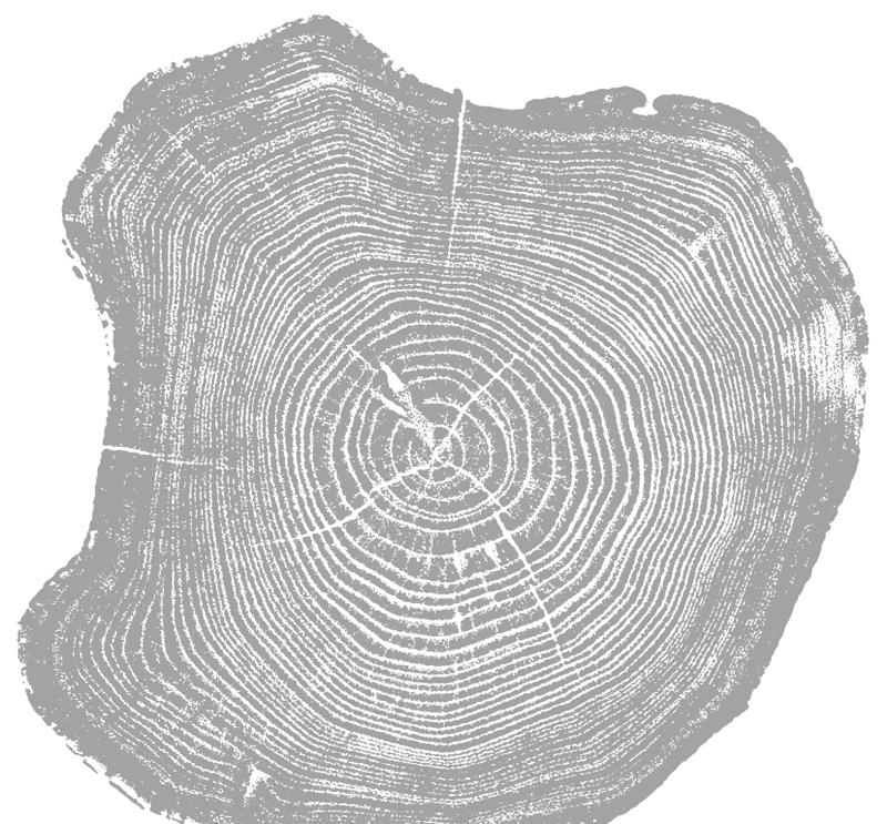 Tree stump image