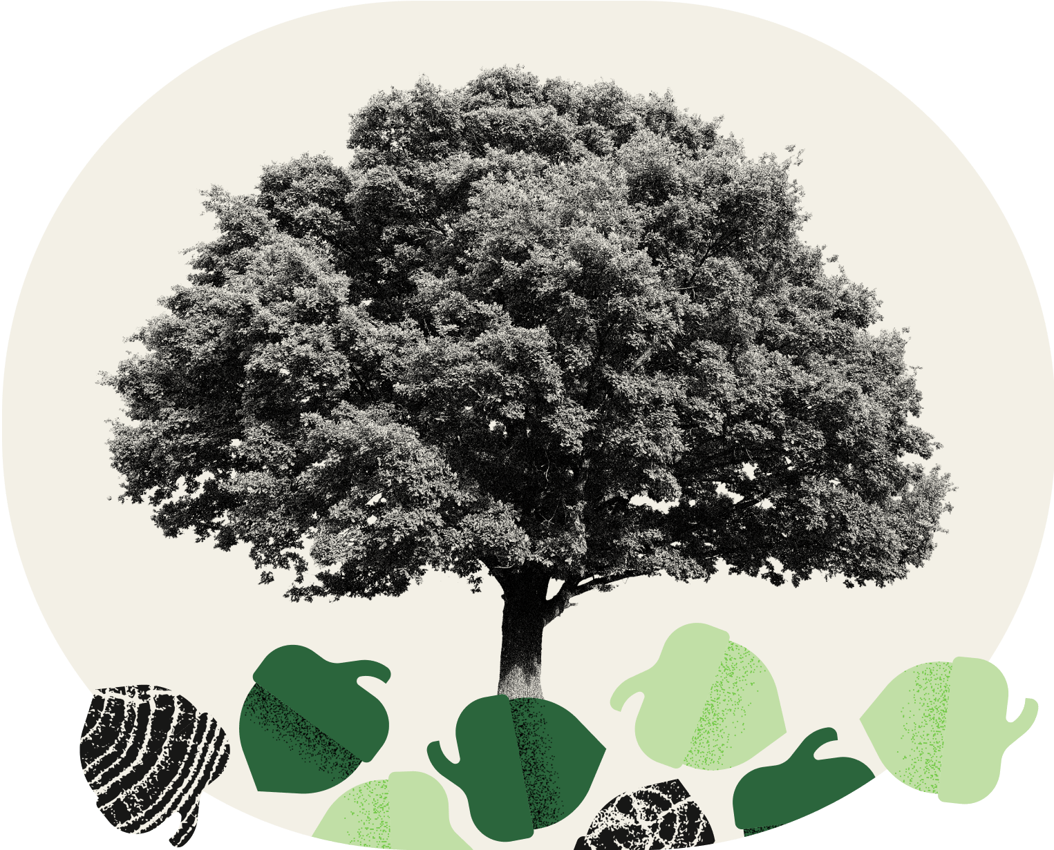 Tiny can turn mighty with time