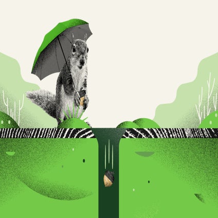 Announcing the Acorns Emergency Fund