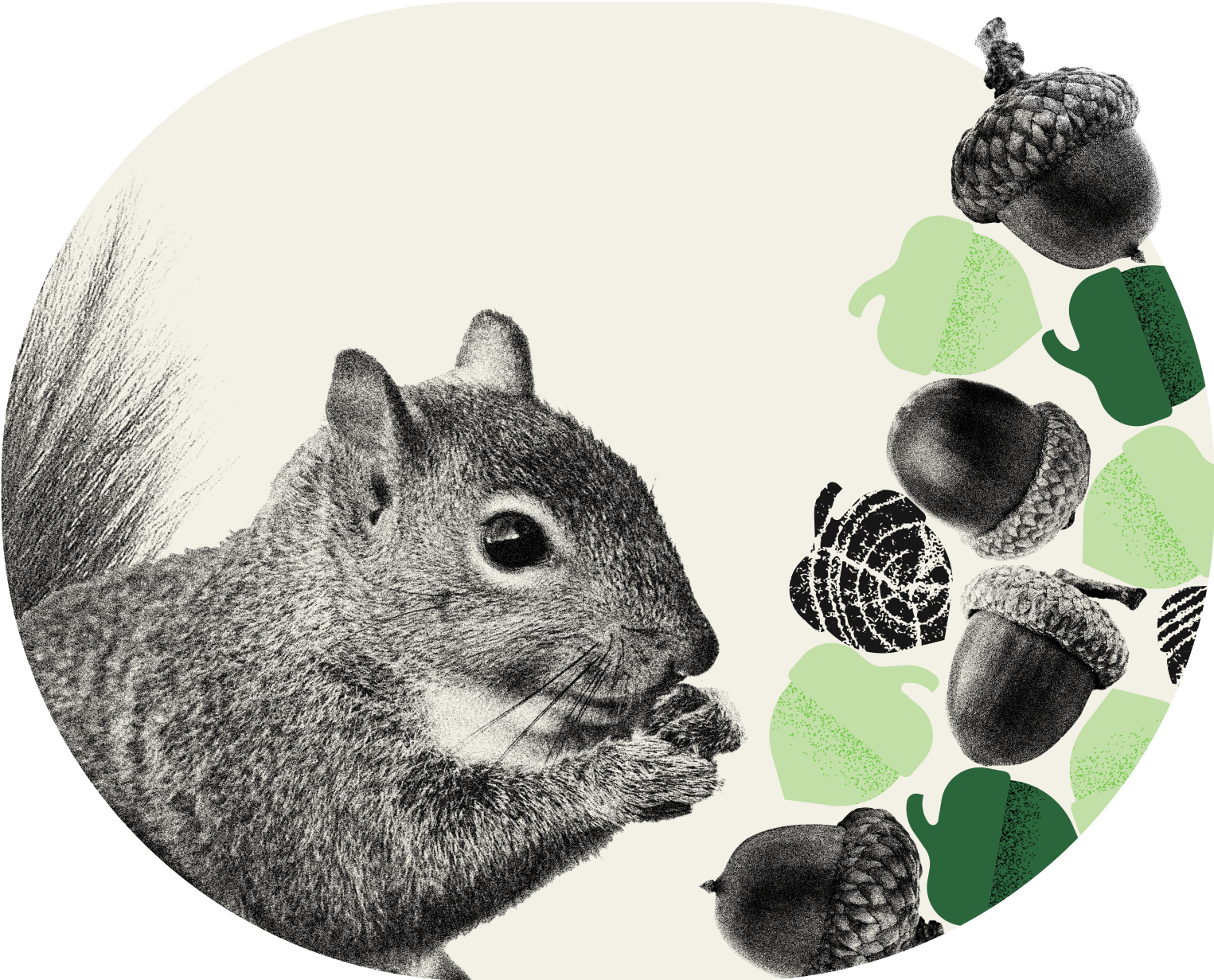 lena-lifts-acorns