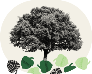 Tiny can turn mighty with time