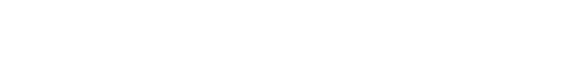 Smart Wallet  Logo