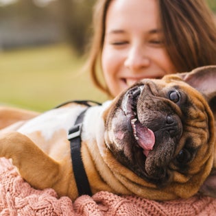 Pet Insurance: What is it and How Does it Work? 