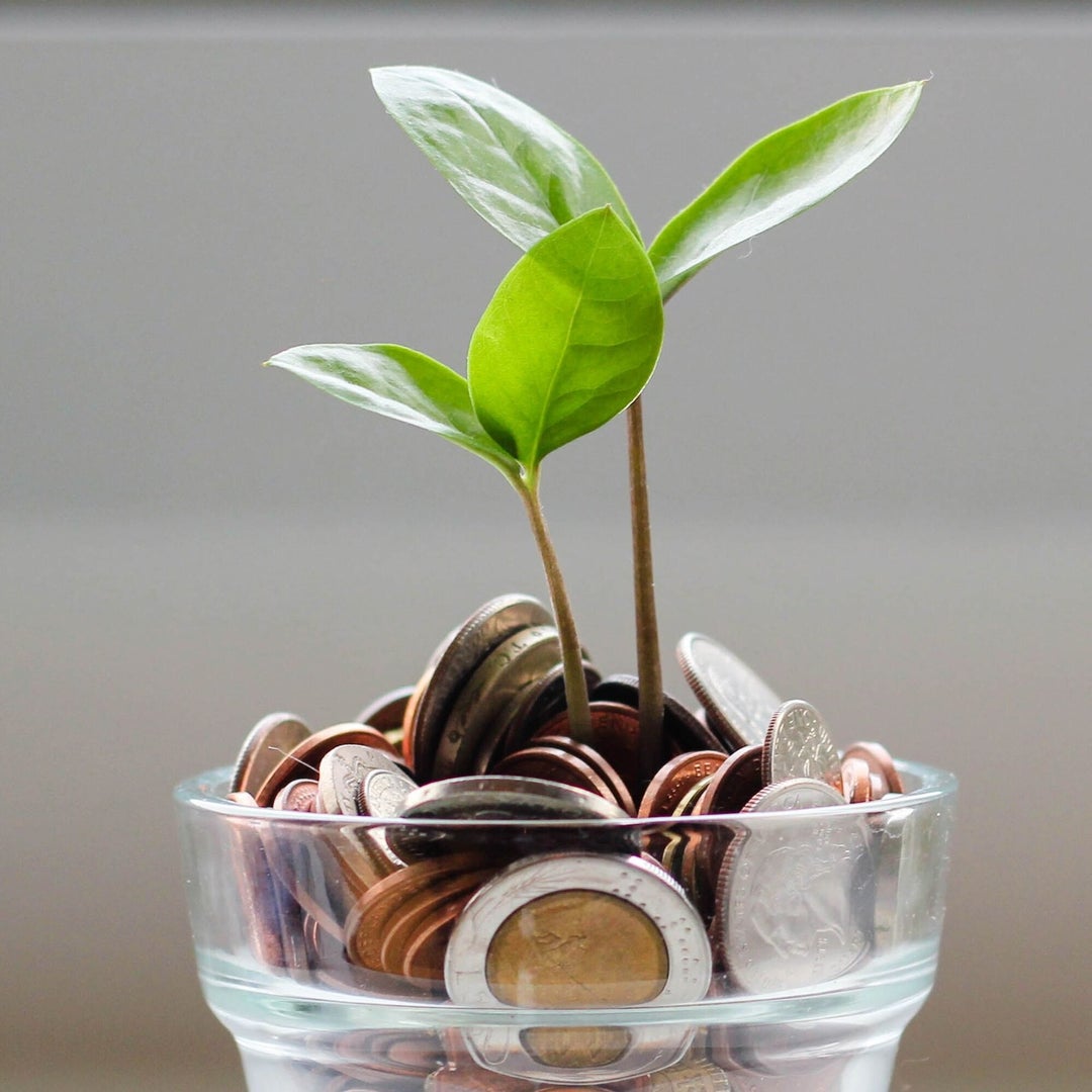 Image of Growth investing is a strategy where you aim to build returns at an accelerated pace. Learn more about it here.